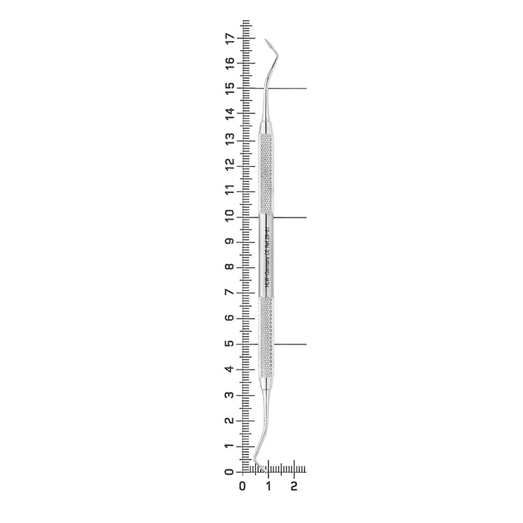 29-61-gladilka-29-61-hollenback3