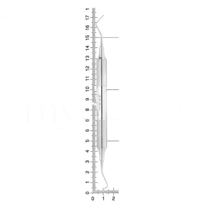 import-files-17-178810c0-89db-11e4-b63f-74d435e27fe3-c4bbe485-10b7-11ec-80e9-002590039e97.jpeg-700x700